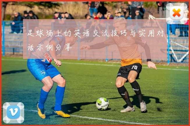 足球场上的英语交流技巧与实用对话示例分享